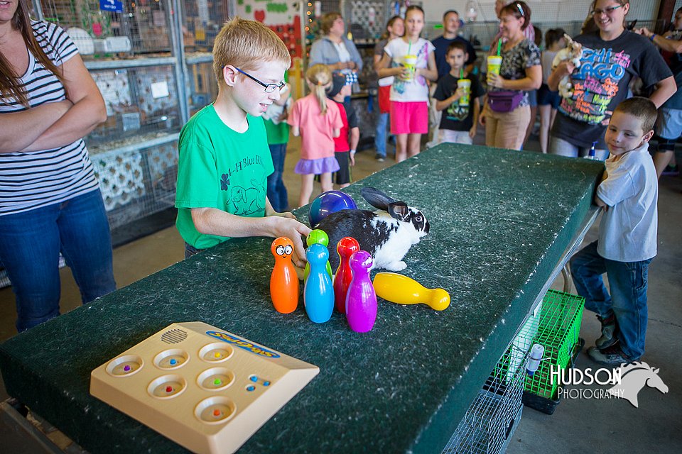 LCFAIR15-7763.jpg