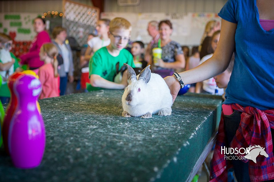 LCFAIR15-7764.jpg