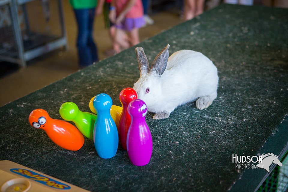 LCFAIR15-7768.jpg