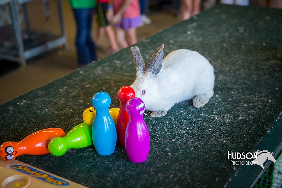 LCFAIR15-7769.jpg