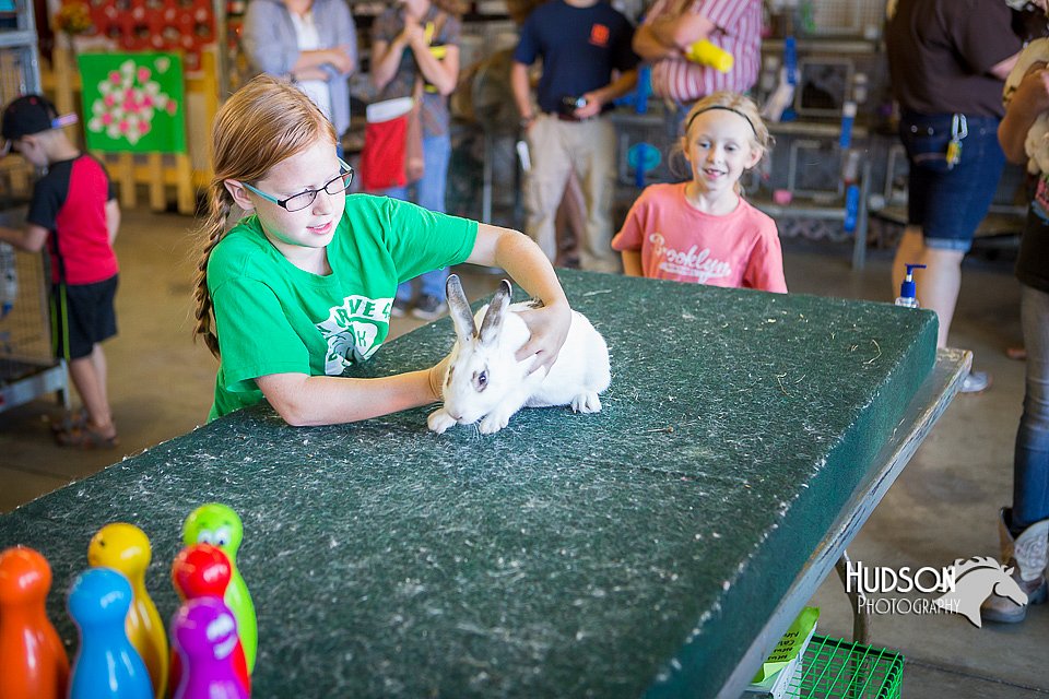 LCFAIR15-7772.jpg