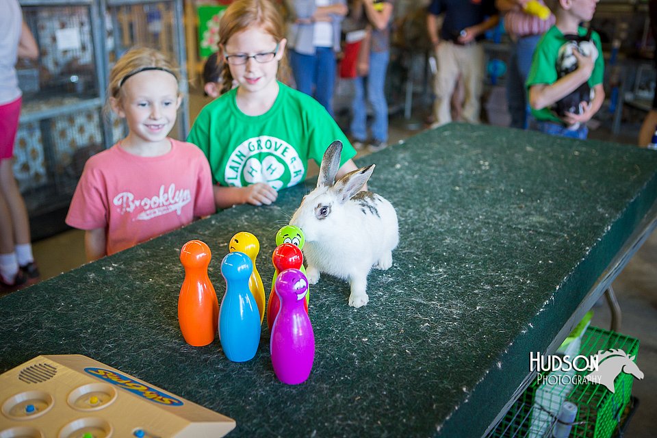 LCFAIR15-7777.jpg