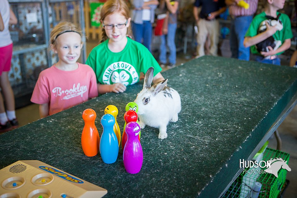 LCFAIR15-7778.jpg
