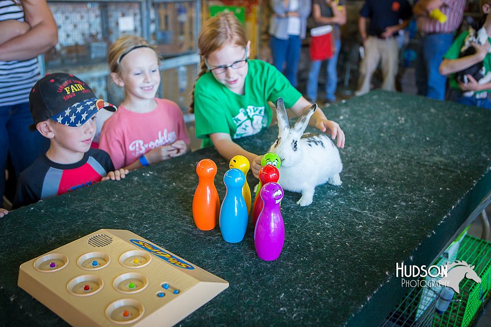 LCFAIR15-7780.jpg