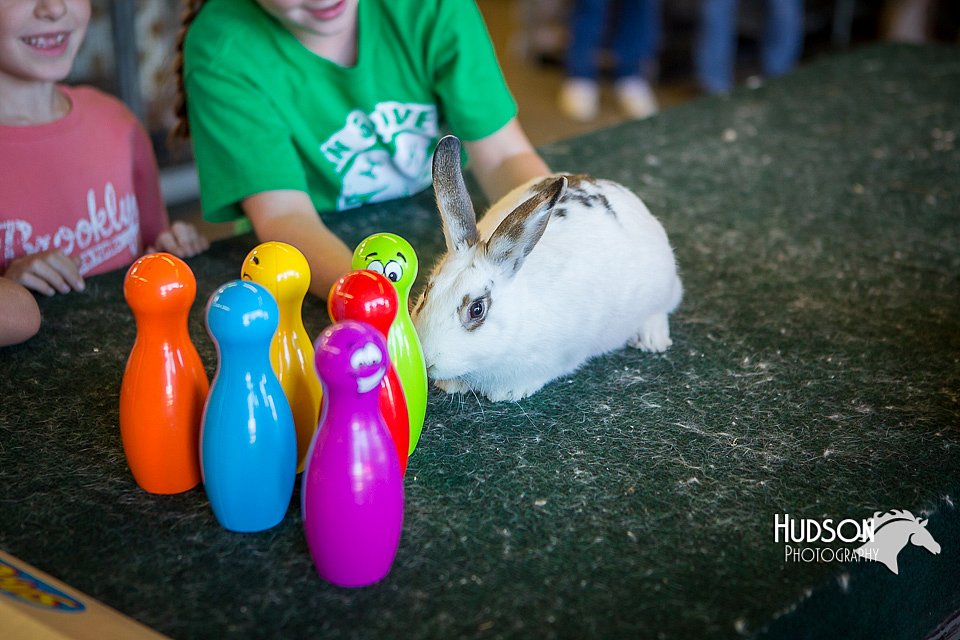 LCFAIR15-7782.jpg