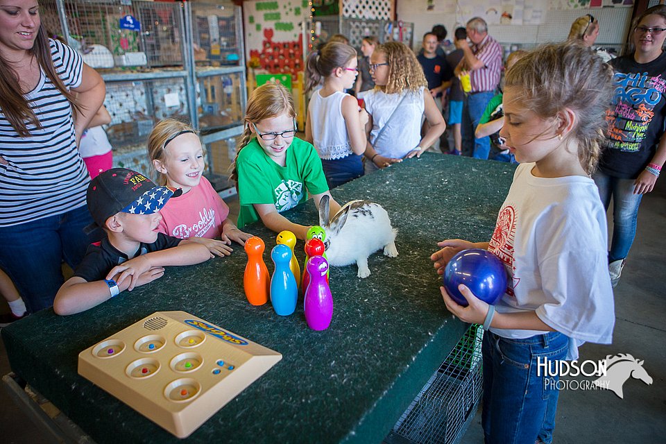 LCFAIR15-7785.jpg