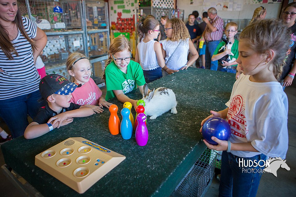LCFAIR15-7786.jpg