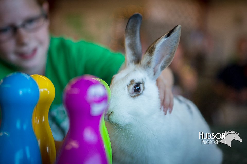 LCFAIR15-7793.jpg