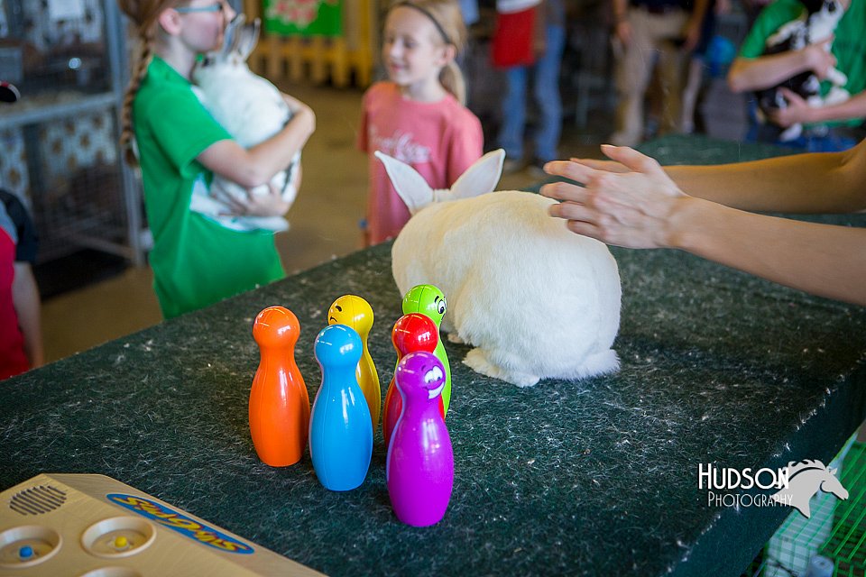 LCFAIR15-7794.jpg