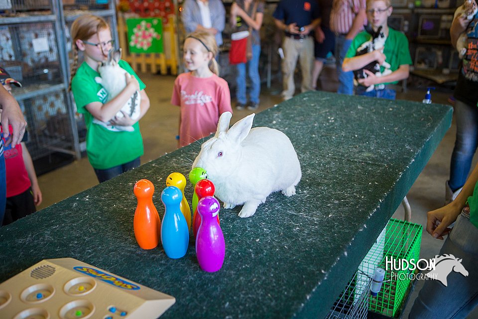 LCFAIR15-7795.jpg