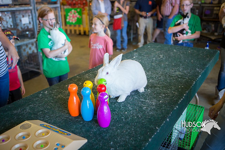 LCFAIR15-7796.jpg