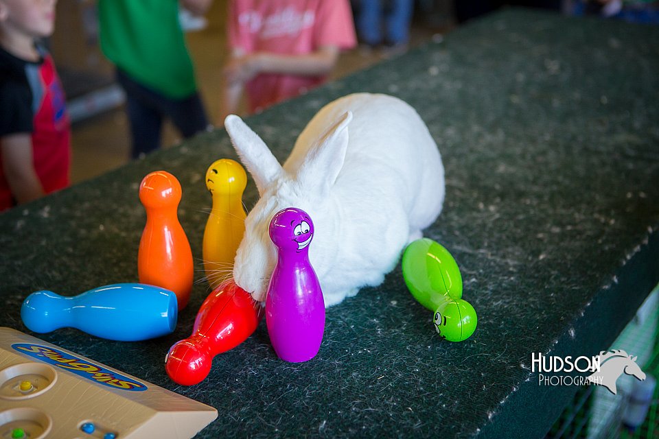 LCFAIR15-7801.jpg
