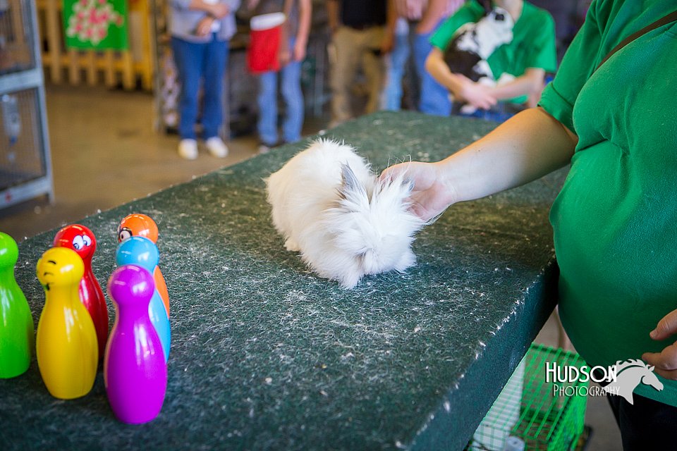 LCFAIR15-7813.jpg
