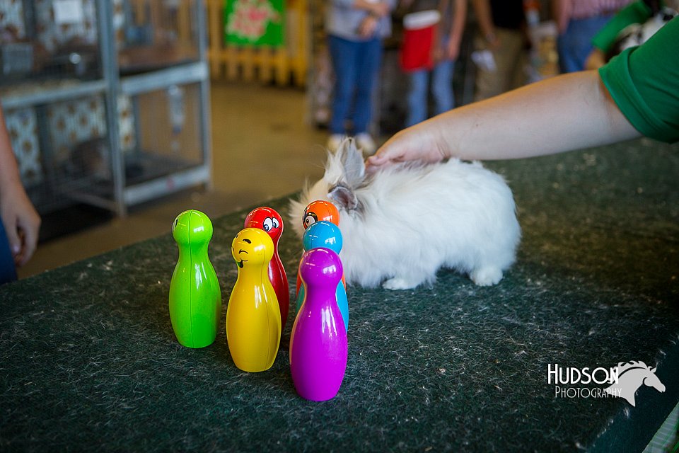 LCFAIR15-7814.jpg