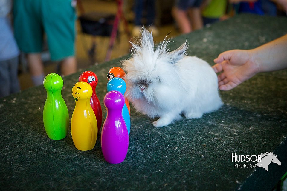 LCFAIR15-7819.jpg