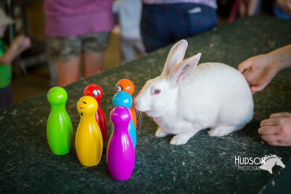 LCFAIR15-7821.jpg