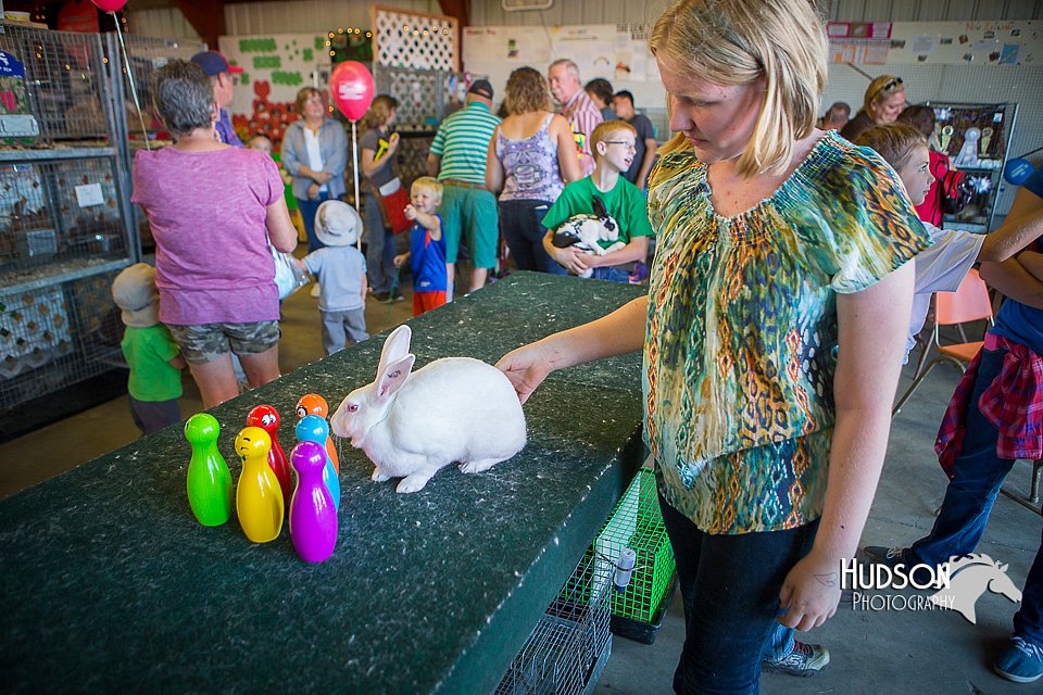 LCFAIR15-7823.jpg