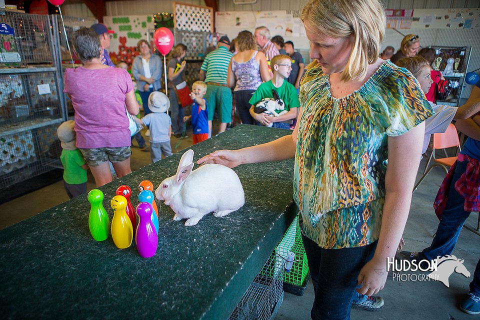LCFAIR15-7824.jpg