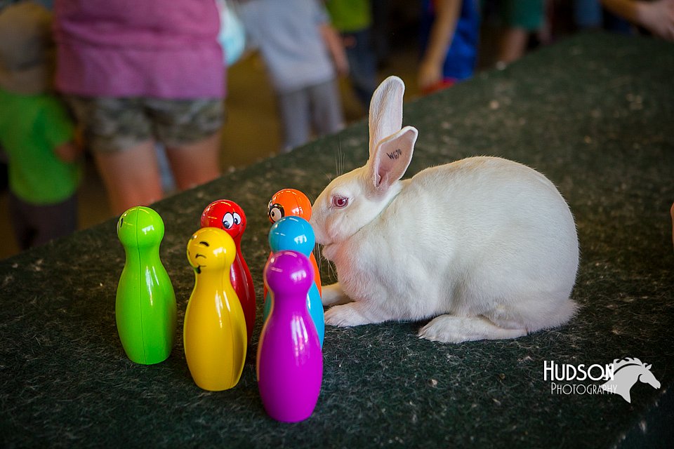 LCFAIR15-7825.jpg