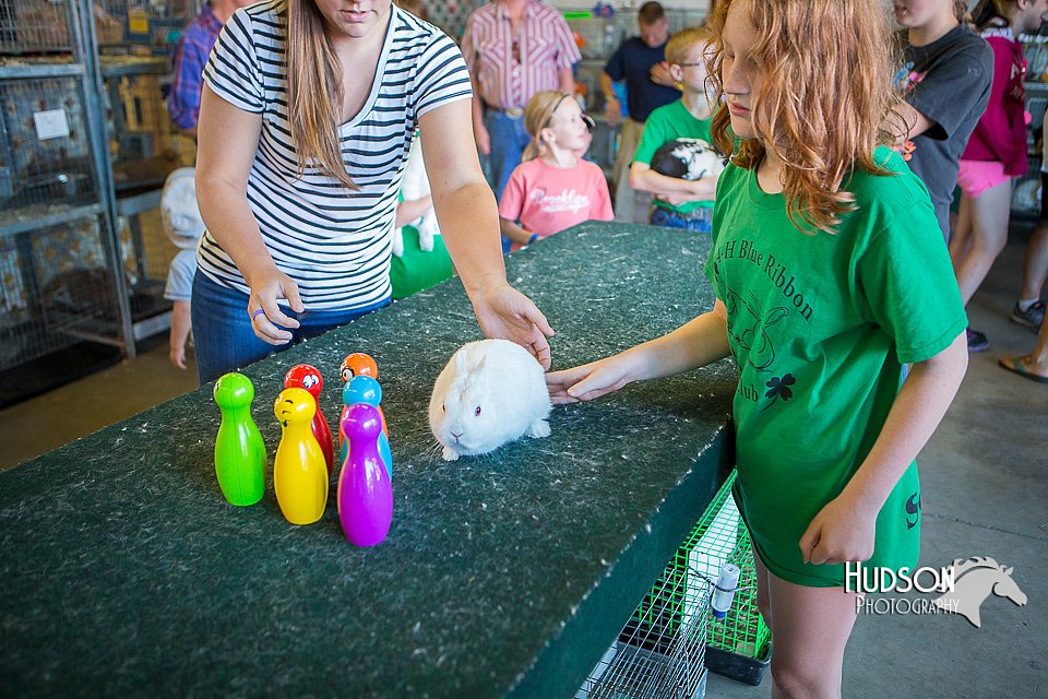 LCFAIR15-7826.jpg