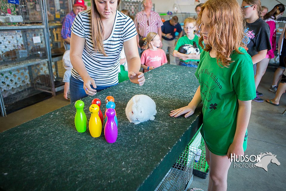 LCFAIR15-7827.jpg