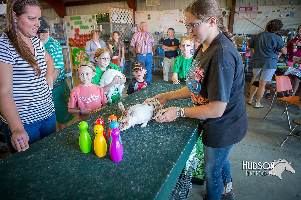 LCFAIR15-7834.jpg