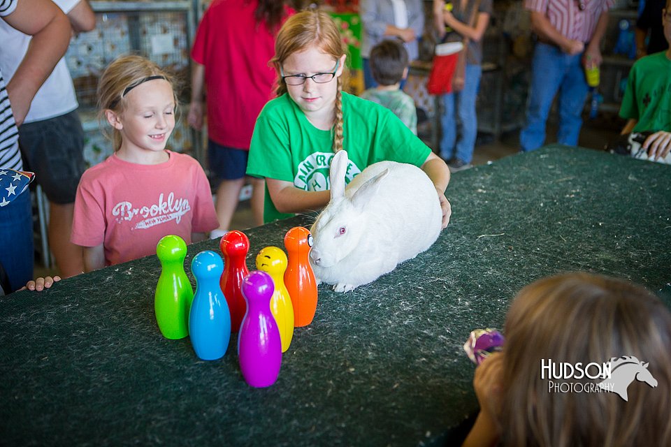 LCFAIR15-7844.jpg