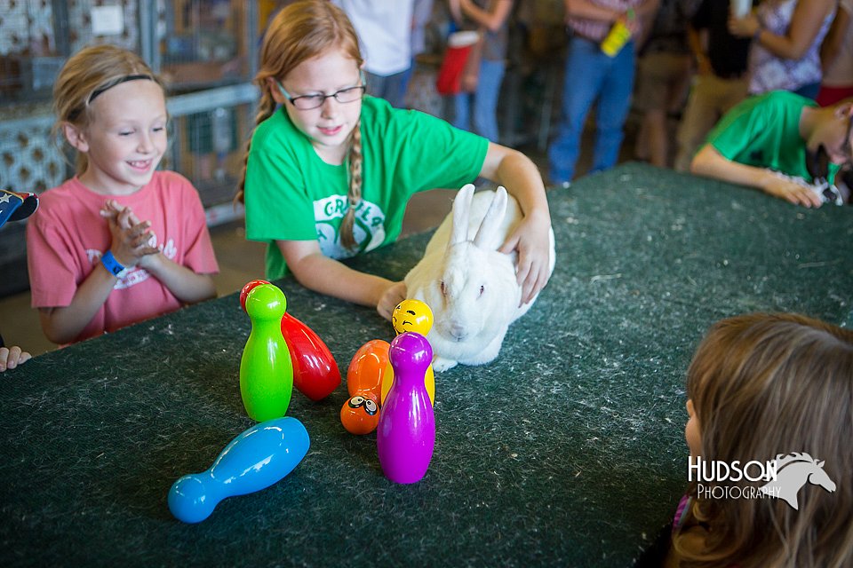 LCFAIR15-7850.jpg