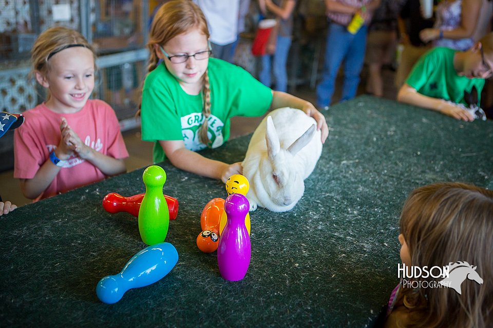 LCFAIR15-7851.jpg