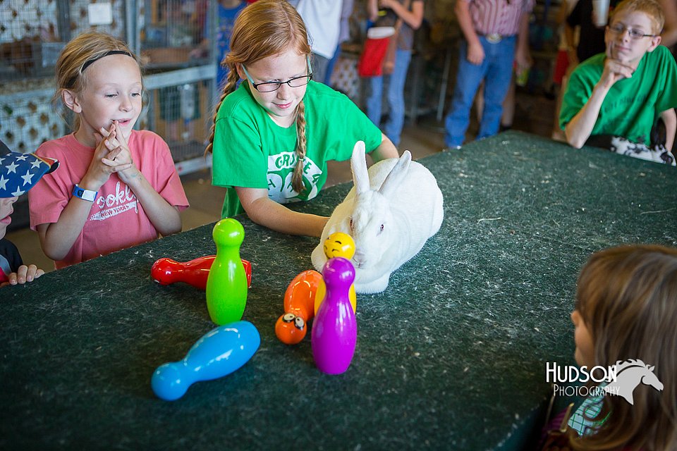 LCFAIR15-7852.jpg