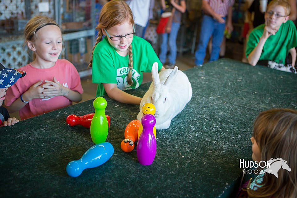 LCFAIR15-7853.jpg