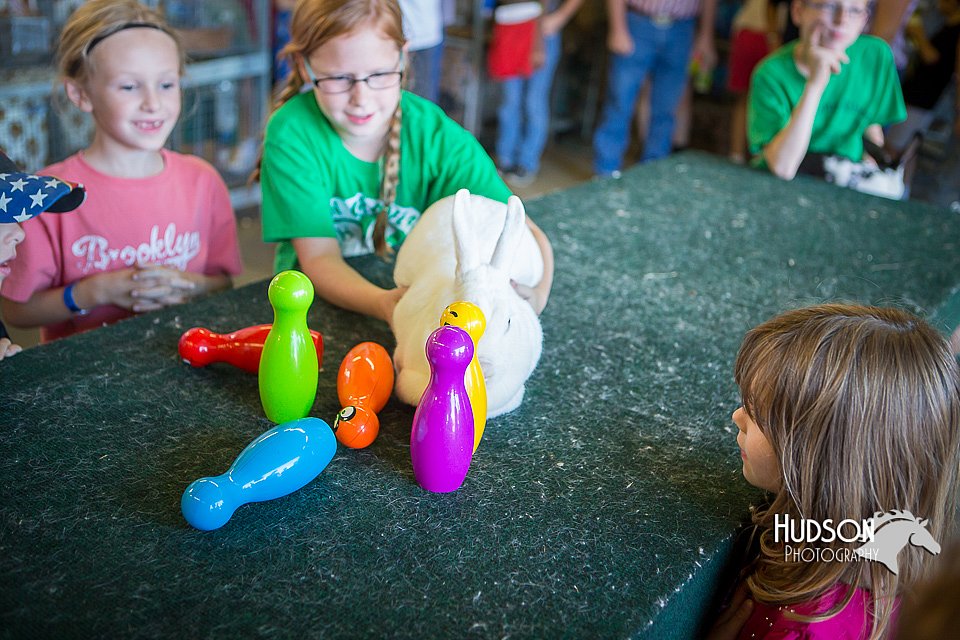 LCFAIR15-7854.jpg