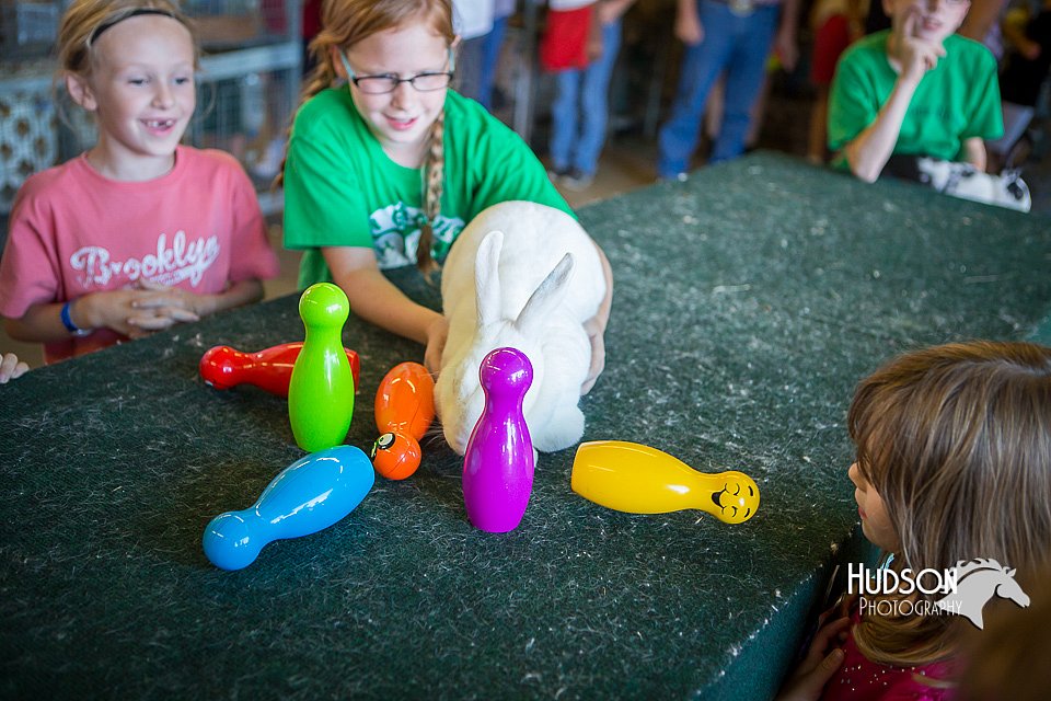 LCFAIR15-7856.jpg