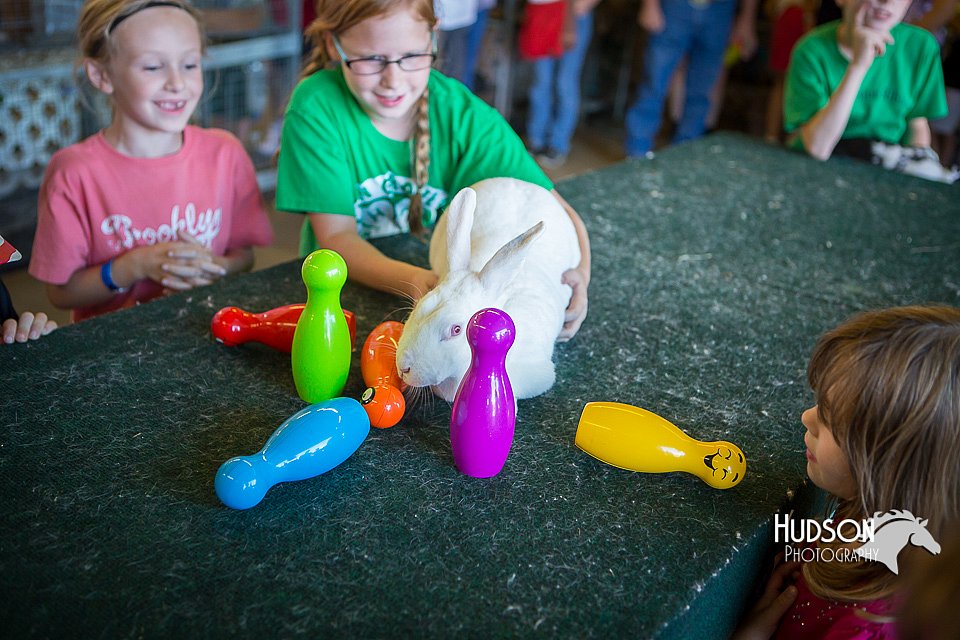 LCFAIR15-7858.jpg