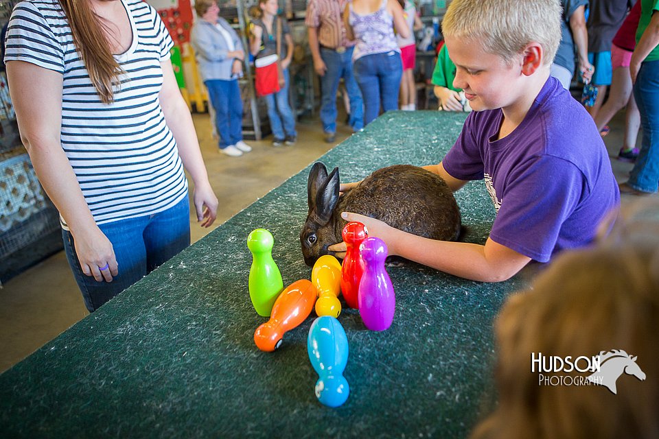 LCFAIR15-7860.jpg
