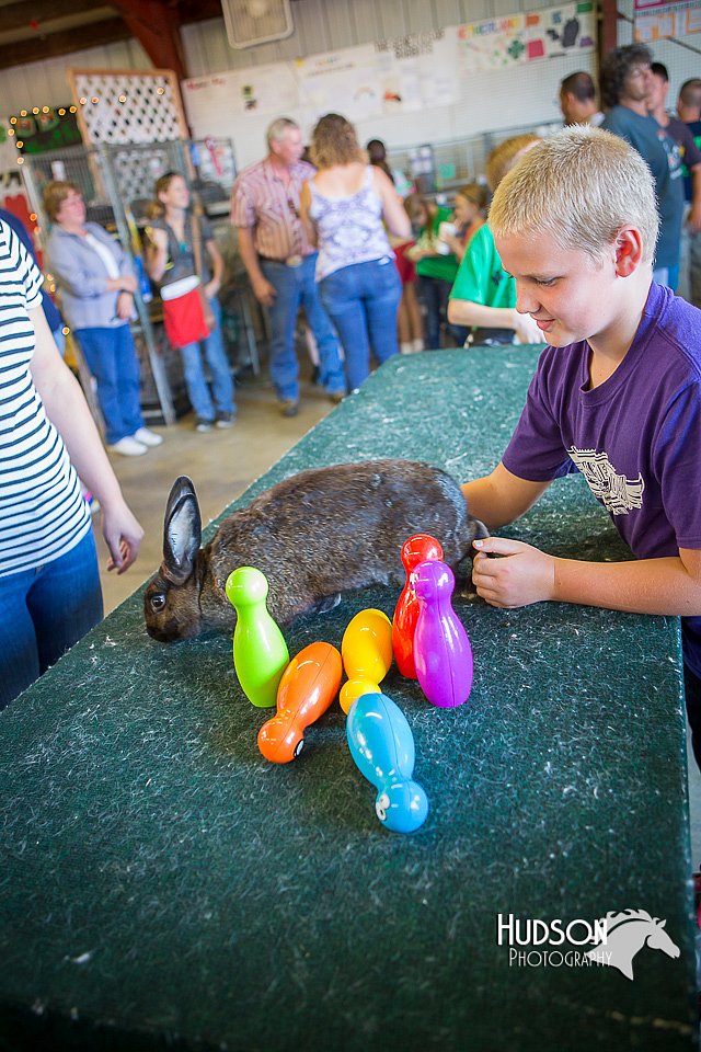 LCFAIR15-7864.jpg