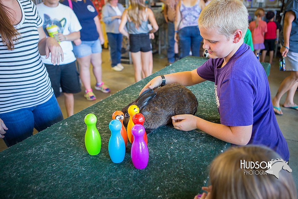 LCFAIR15-7865.jpg