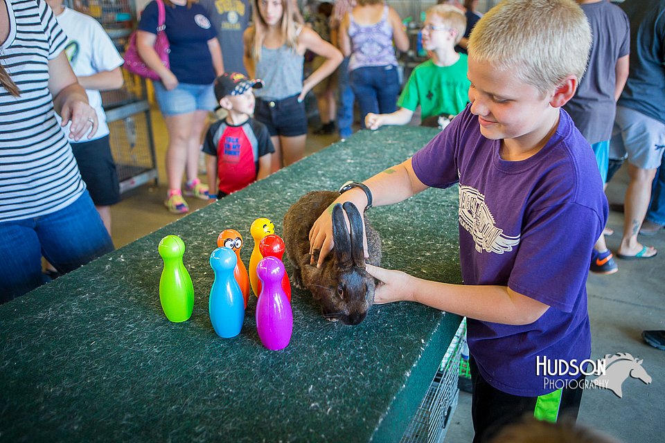 LCFAIR15-7867.jpg