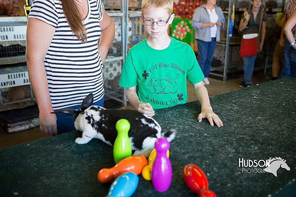 LCFAIR15-7872.jpg