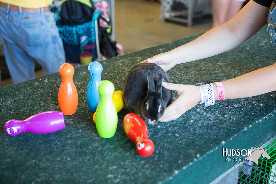 LCFAIR15-7909.jpg