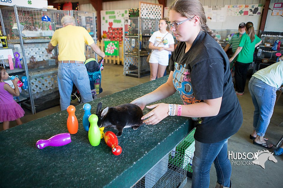 LCFAIR15-7912.jpg