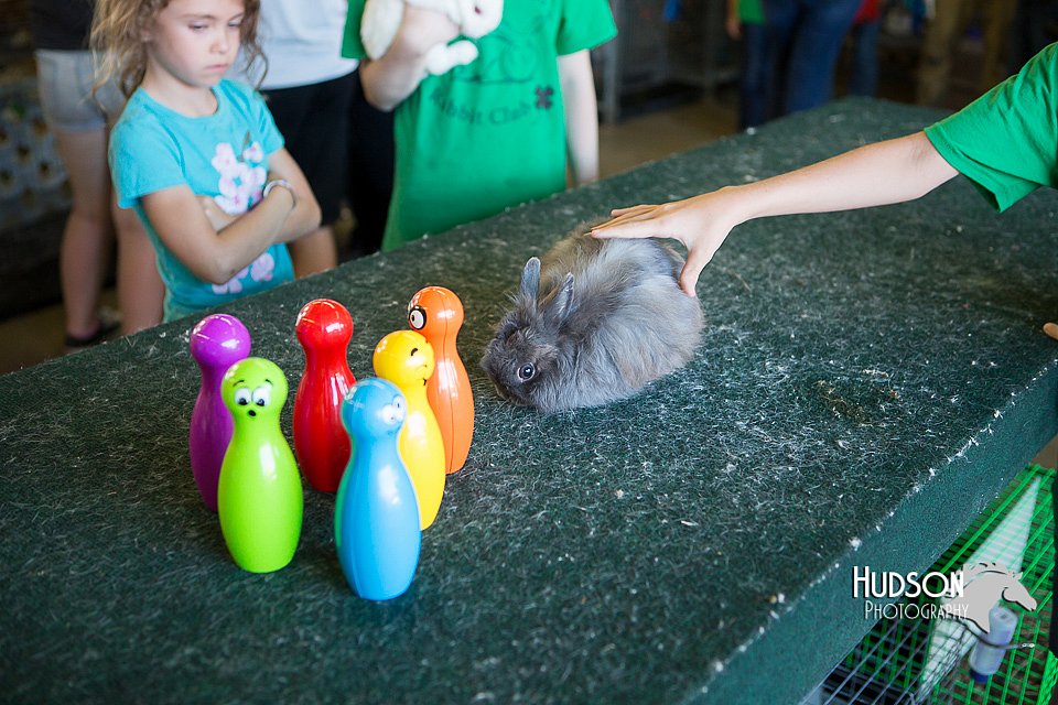 LCFAIR15-7925.jpg