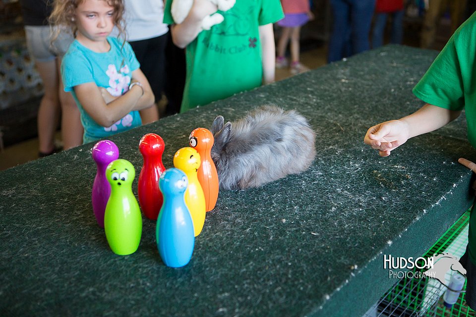 LCFAIR15-7926.jpg