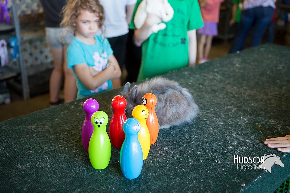 LCFAIR15-7927.jpg