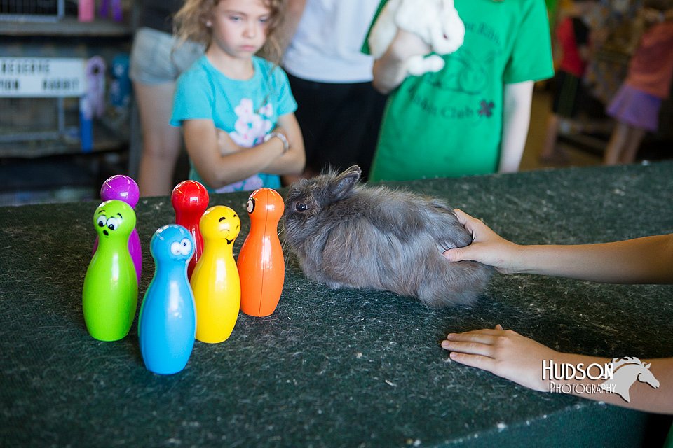 LCFAIR15-7928.jpg