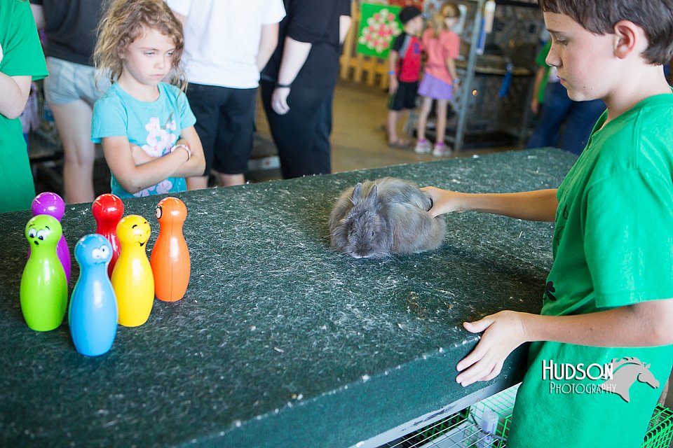 LCFAIR15-7929.jpg