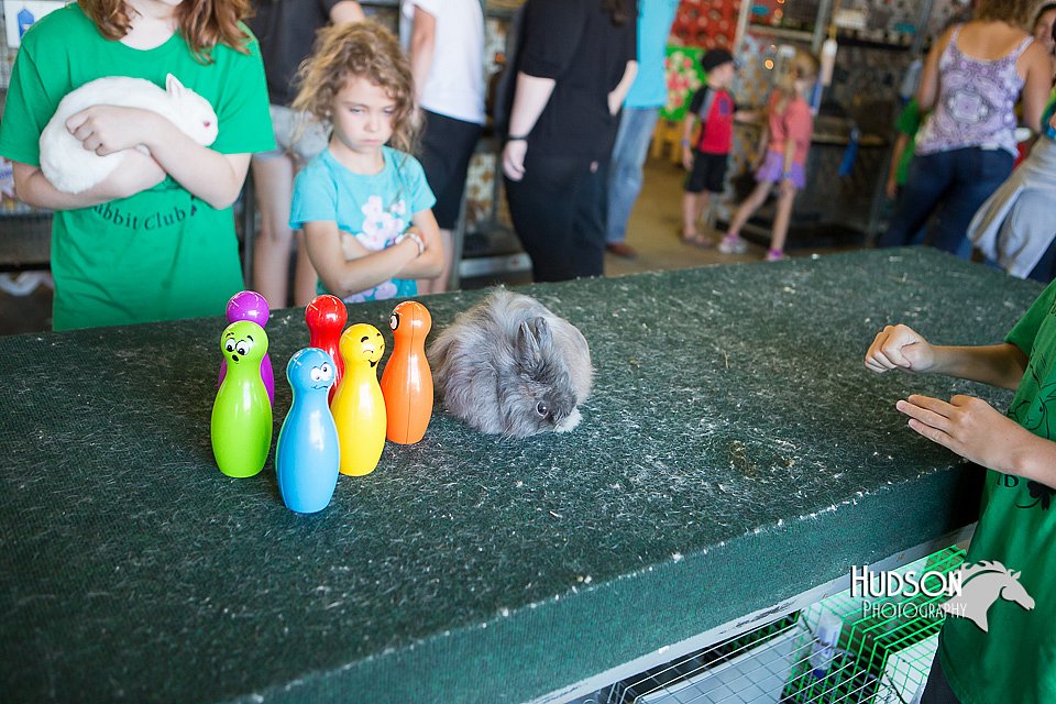 LCFAIR15-7930.jpg