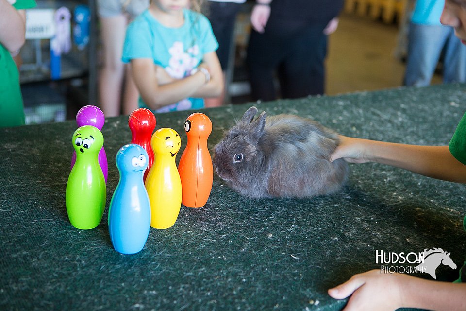 LCFAIR15-7932.jpg