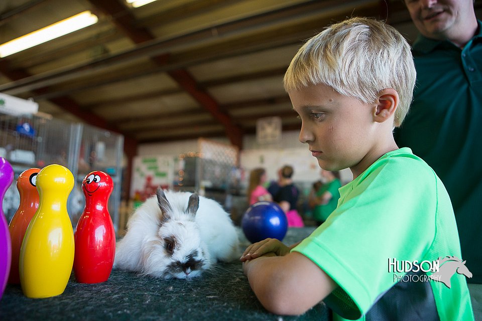 LCFAIR15-7958.jpg