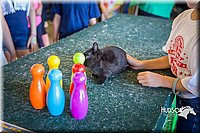 LCFAIR15-7671.jpg